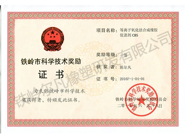 2016鐵嶺市技術發明一等獎